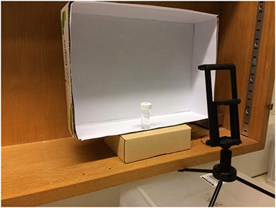 A Simple and Non-destructive Method for Chlorophyll Quantification of Chlamydomonas Cultures Using Digital Image Analysis